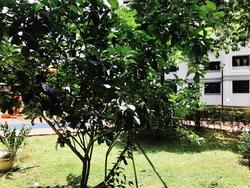 Blk 685A Choa Chu Kang Crescent (Choa Chu Kang), HDB 4 Rooms #143069172